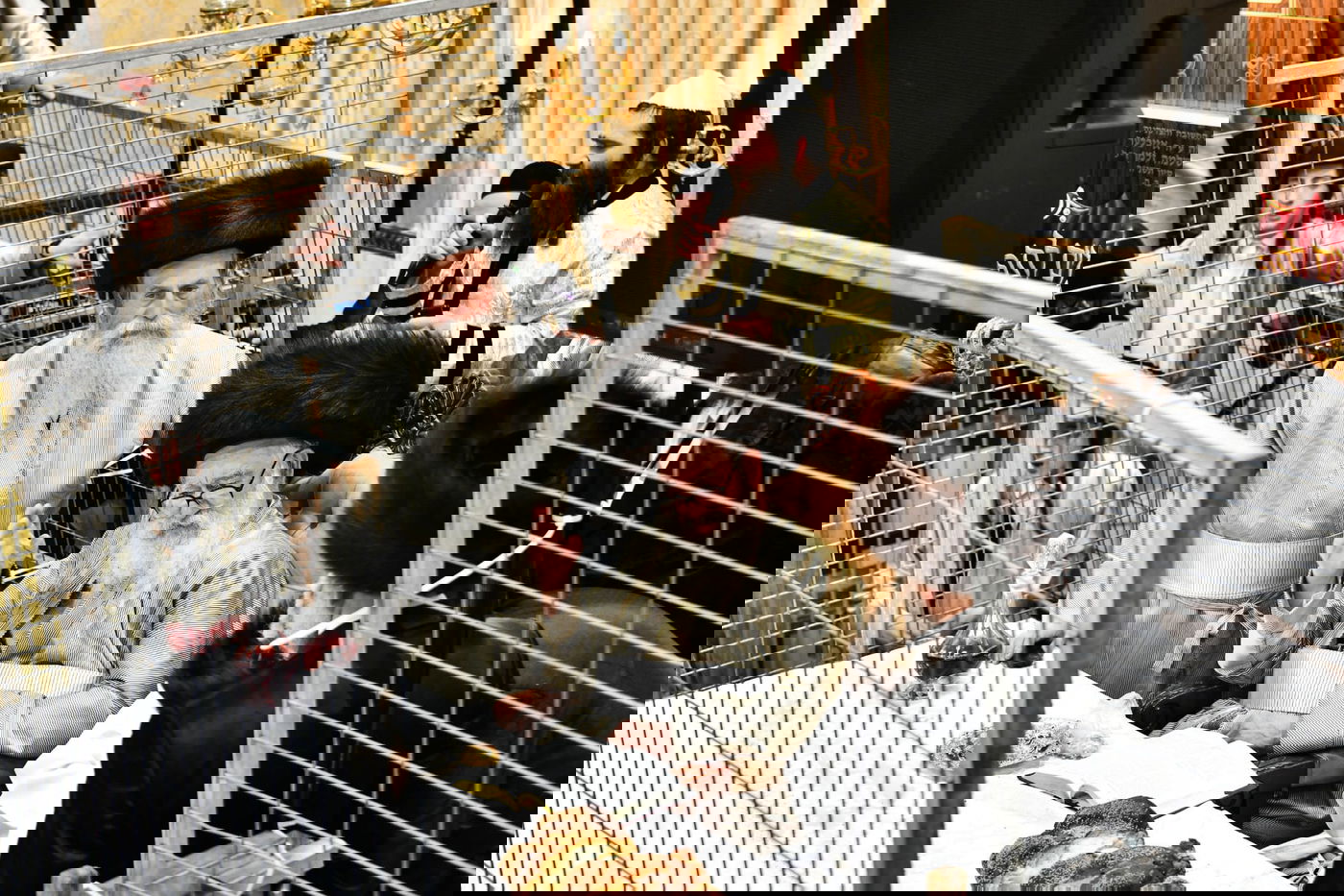 טיש פורים במשכנות הרועים