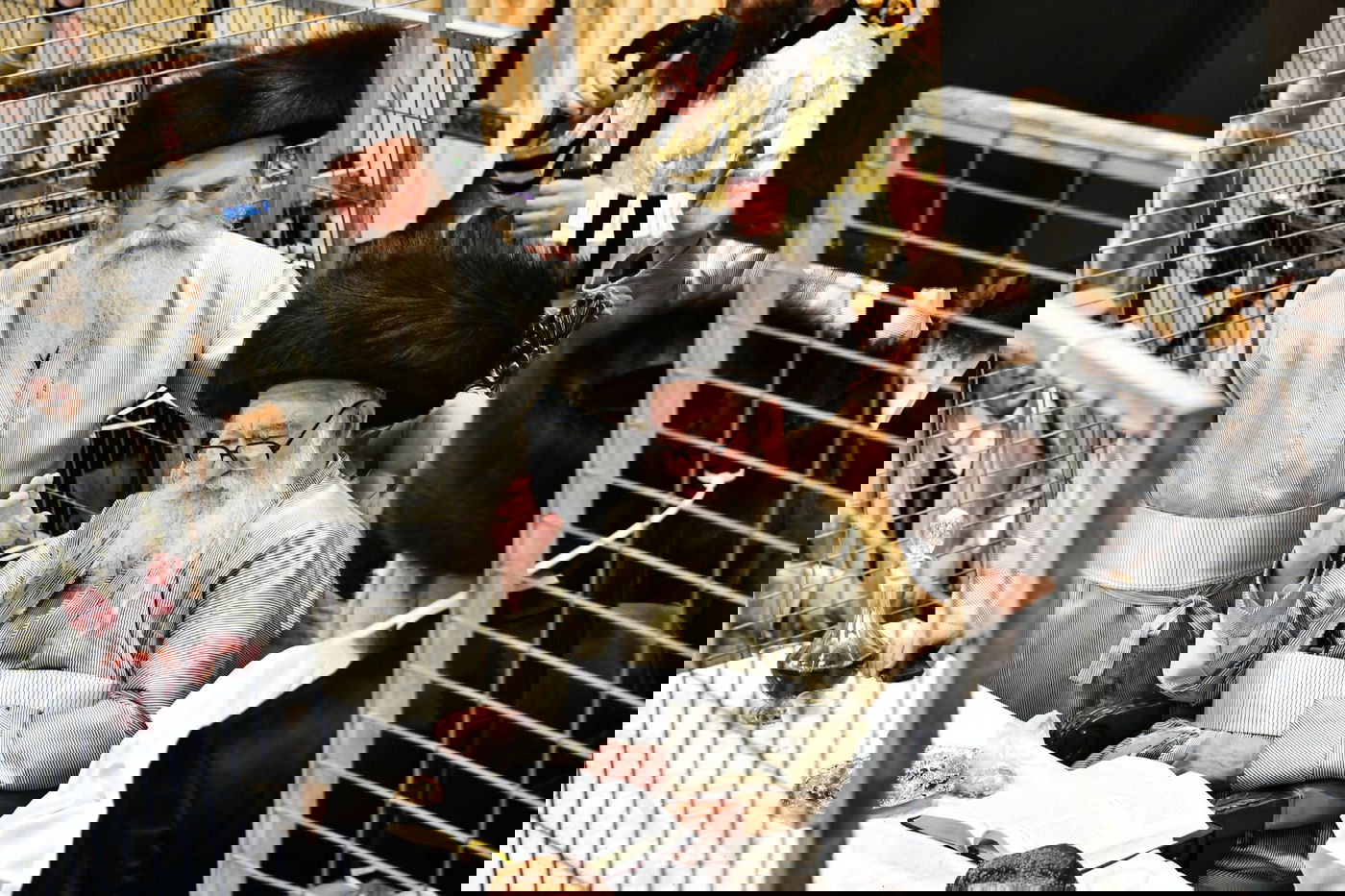 טיש פורים במשכנות הרועים