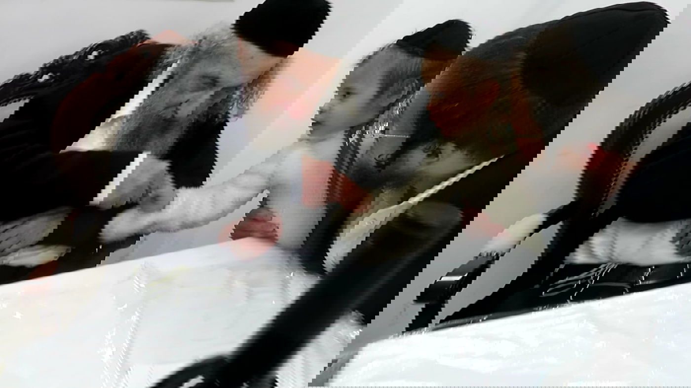 פורים במחיצת הגר"ד לנדו