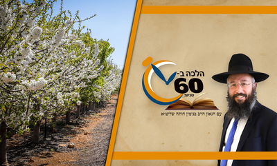 זריזים מקדימים או ברוב עם: מהו הזמן לברך 'ברכת האילנות'? • צפו 