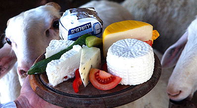 מוצרי חלב. צילום אילוסטרציה: פלאש 90