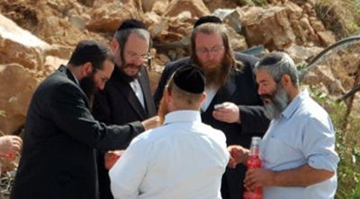 רובישנטיין בשטח הבנייה (