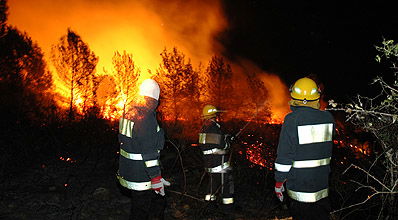 אילוסטרציה: פלאש 90