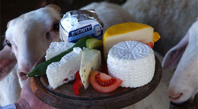 אילוסטרציה: פלאש 90