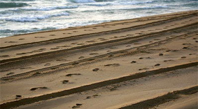 קחו איתכם חומץ.