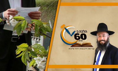 מותר לברך ברכת האילנות תוך כדי נסיעה ברכב? • צפו 