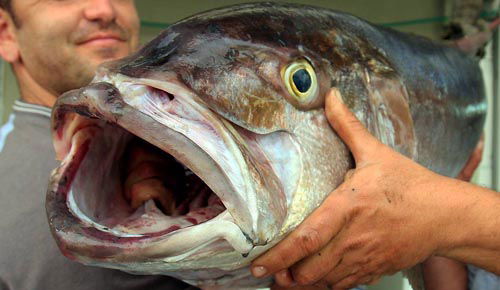 (צילום אילוסטרציה: פלאש 90)