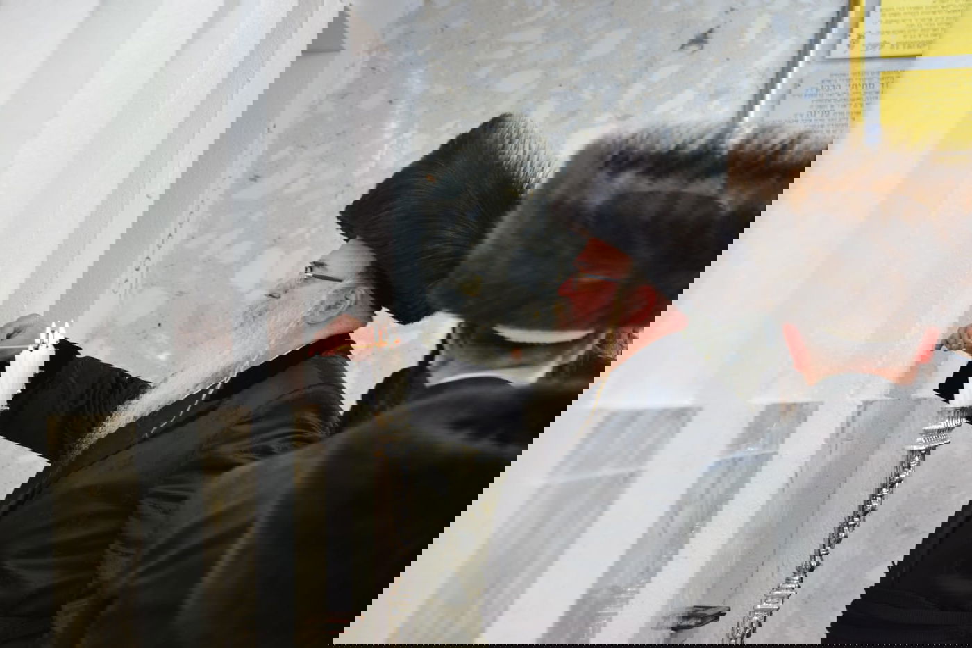 הילולת ר' אלימלך בחצר ביאלה רמת אהרן | תיעוד