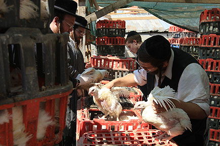 מאה שערים מכפרת ● תמונות