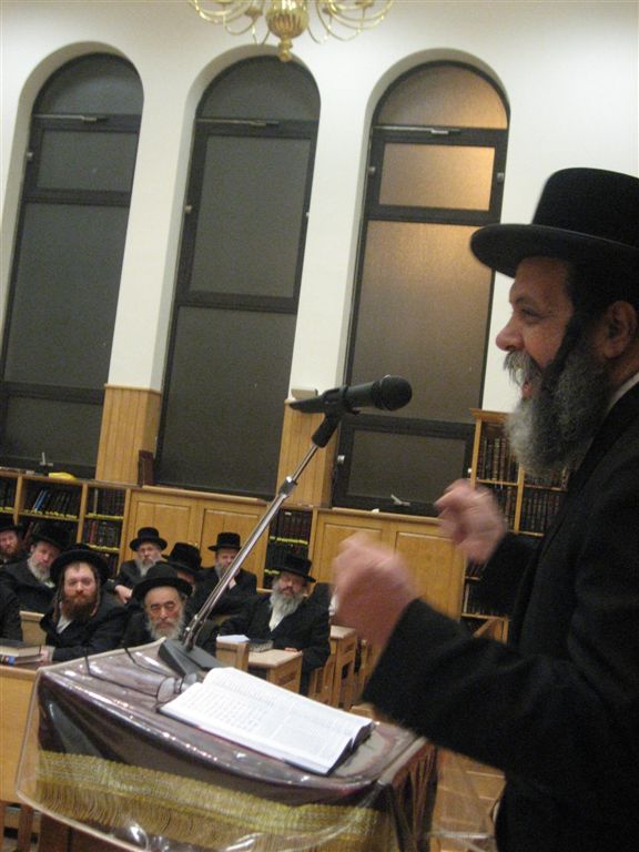 תמונות מבלגיה: ר"י בעלזא בחיפה