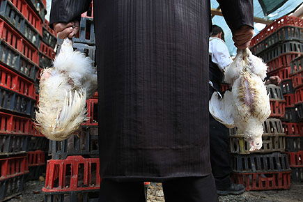 מאה שערים מכפרת ● תמונות