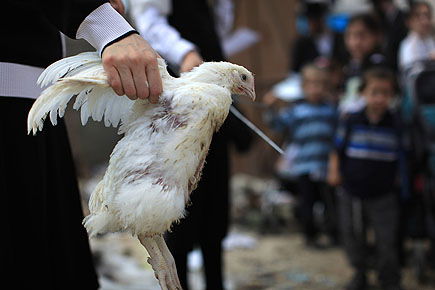 מאה שערים מכפרת ● תמונות