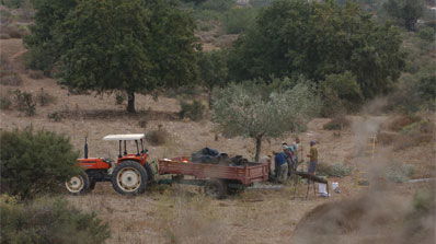 חקלאים באצבע הגליל.