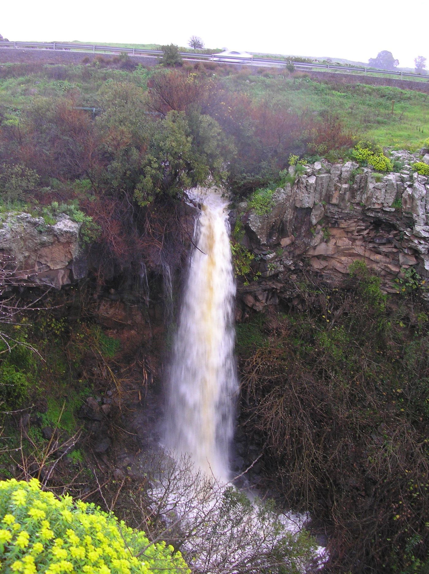 מפל עיט זורם