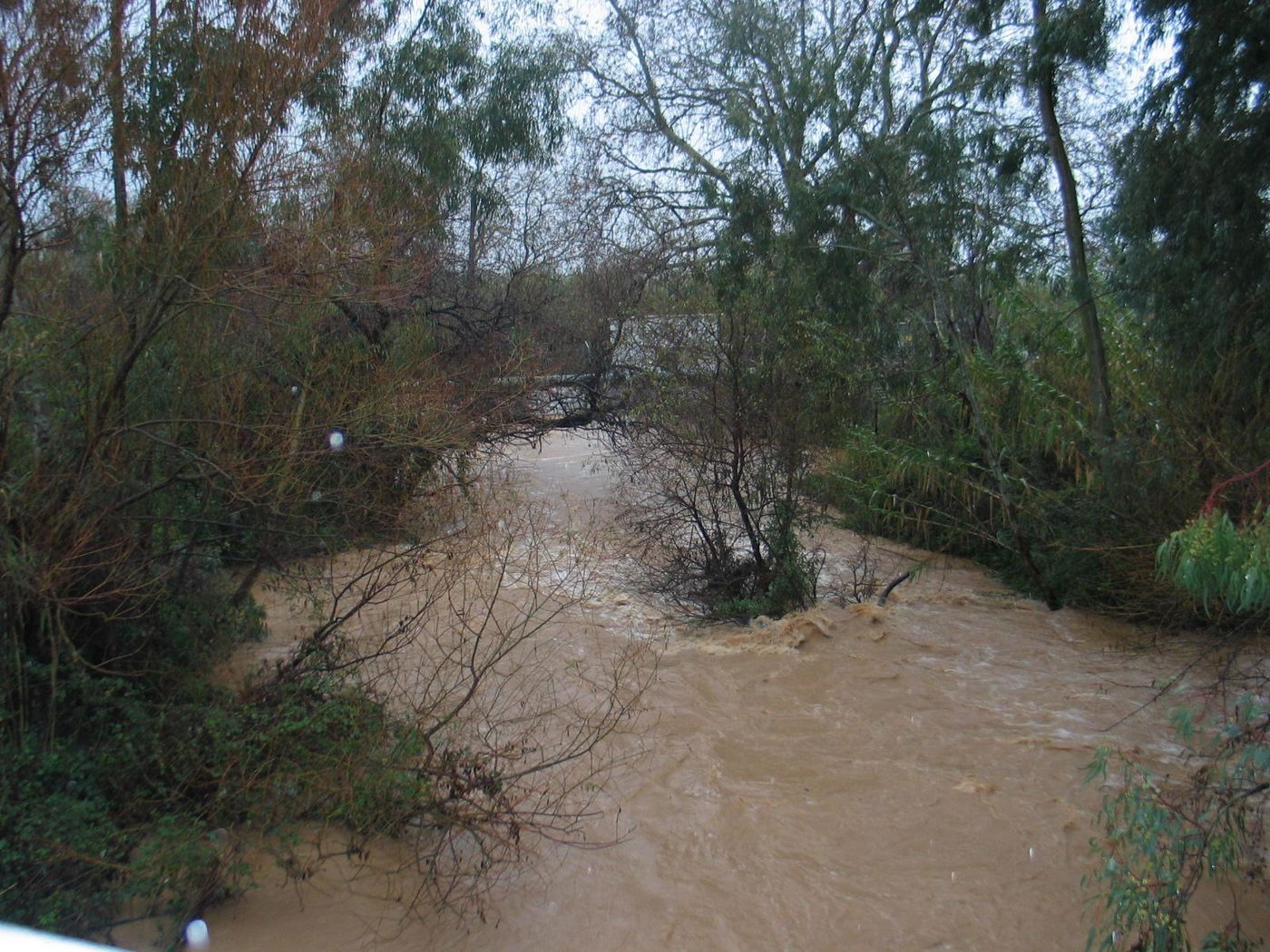 מורד הבניאס שוצף