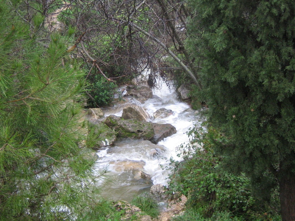 נחל דישון זורם