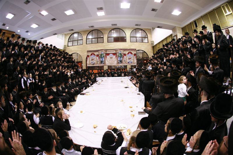 גלריה משבע ברכות ב´סערט ויז´ניץ´