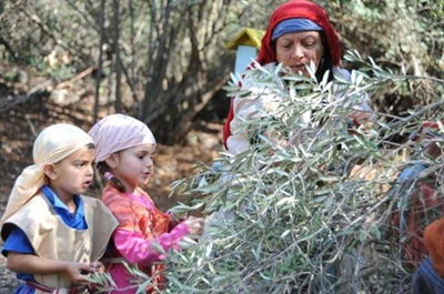 חנוכה בצפון הארץ: אתרים נבחרים