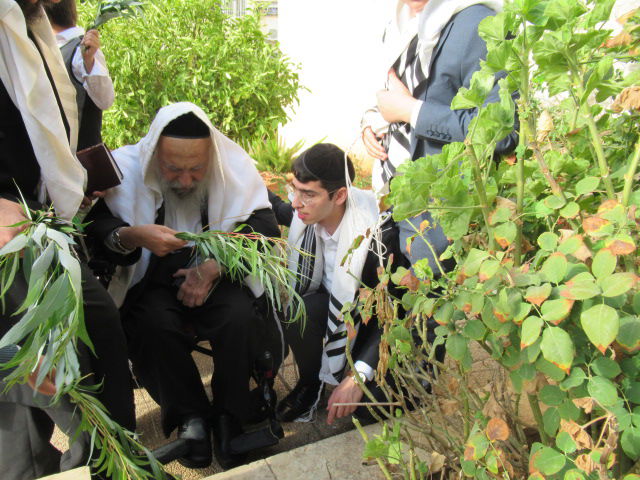מראות מחייו של הגאון רבי אליהו ציון סופר זצוק"ל 