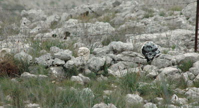 סוכלה הברחת סמים ענקית מלבנון, "הגדולה בעשור"