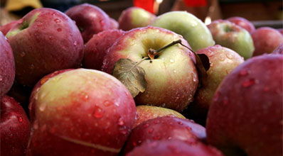 מיץ תפוחים לשיפור הנשימה.