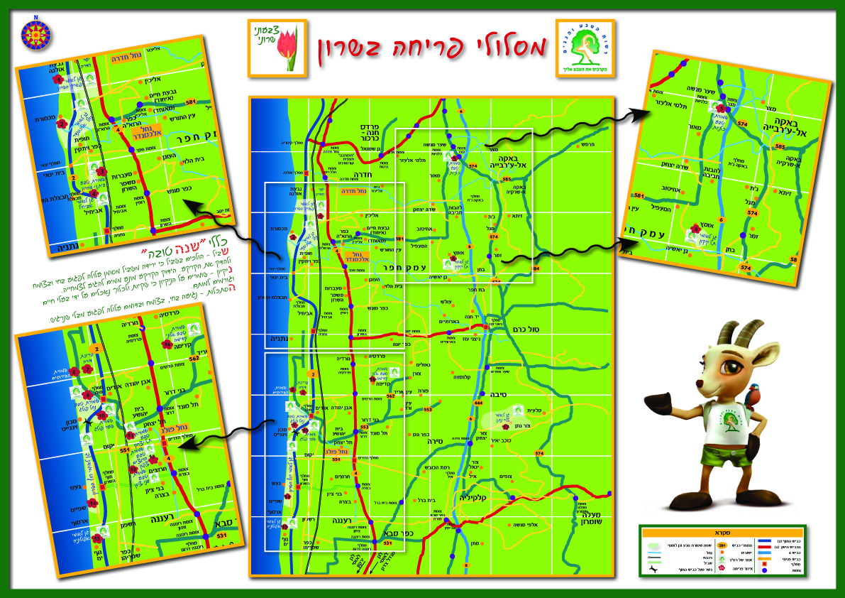 ט"ו בשבט מגיע, השרון החל לפרוח