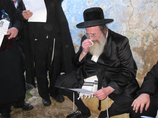 האדמו"ר מספינקא שליט"א