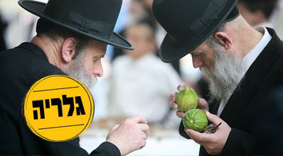 בני-ברק, השבוע