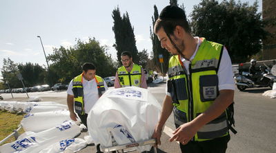 מיצג זק"א, היום