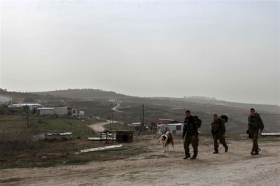 ימי הקפאה: תמונות מהשטח הבוער