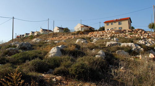 יצהר (פלאש 90)