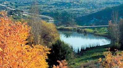 צילום אילוסטרציה