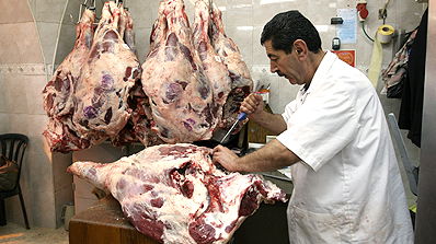 אילוסטרציה: פלאש 90