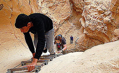 אילוסטרציה: פלאש 90