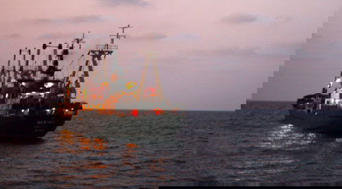 אילוסטרציה