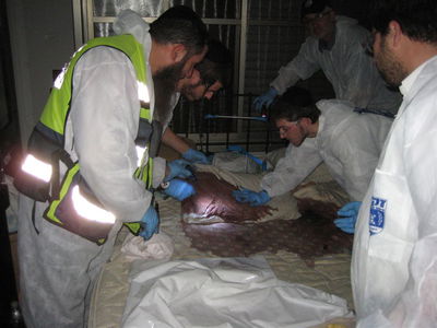 פוענח רצח משפחת אושרנקו; תיעוד וידאו