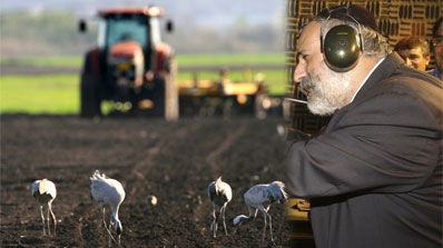 ניסים דהן על רקע אדמות ואדי ערה.