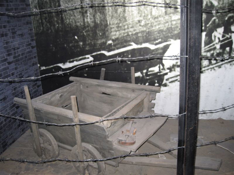 איך אומרים חנוכה בסינית? • תמונות