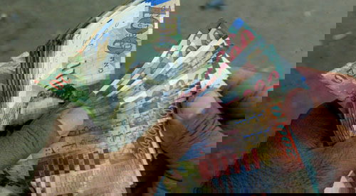 סגולה ´נדירה´ חדשה: 140 שקלים לחנוכה