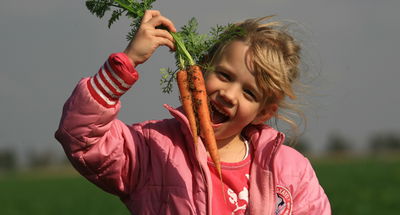 אכילת גזר בראש השנה - איסור?