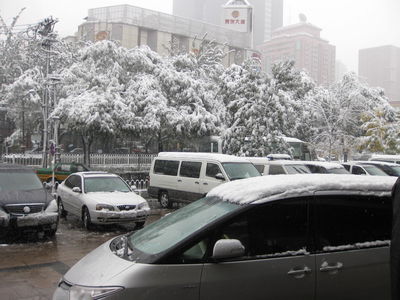 ביג´ין: הוכנס ספר-תורה לבית-חב"ד המקומי