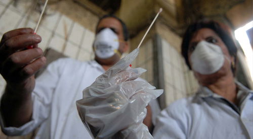 לשטוף ידיים? לא רק במים וסבון