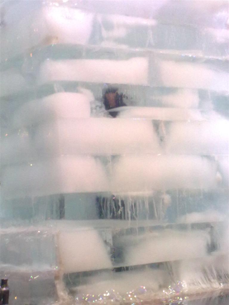 להסתכל לטירוף בעיניים: 'כיכר' בכי-קר