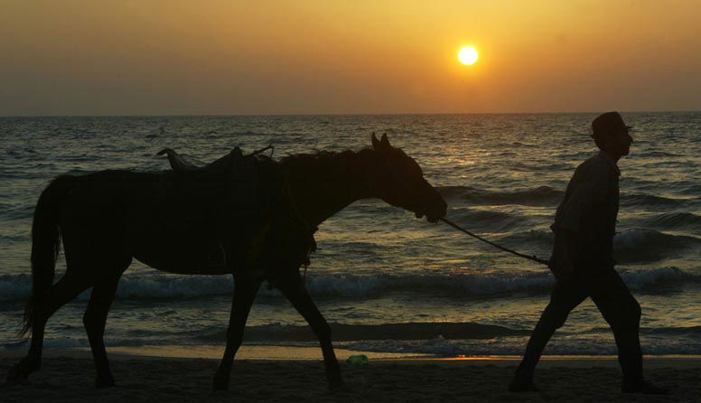 הגנב, הסוס ואנחנו