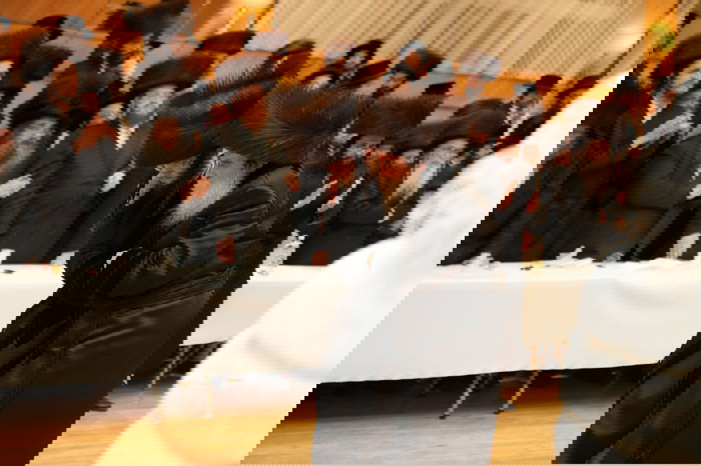 חתונת תולדות צבי דספינקא - פאלטישאן