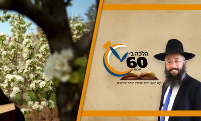 האם נשים חייבות לברך ברכת האילנות? • צפו 