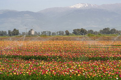 התחזית: תחול ירידה בטמפרטורות, אך עדיין יהיה חם מהרגיל