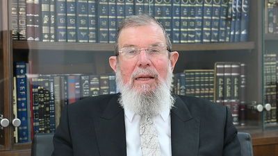 פרשת שמיני: הוורט של הגאון רבי קלמן בר