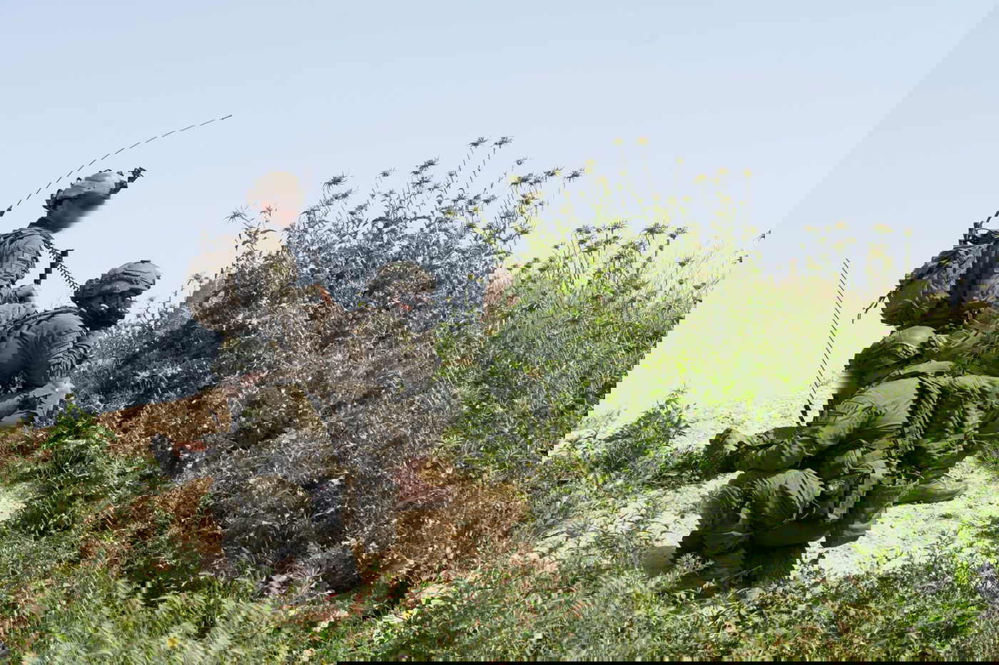 תיעוד מהפעילות