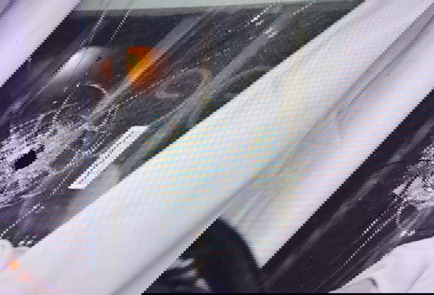 הנזקים שנגרמו למבנה